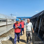 国网牡丹江东宁市供电公司：服务菌农 助力木耳产业用电安全